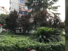 房子朝南,楼层好,视野好,采光好,边套