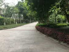 双山拎包入住三房、低楼层,不临街