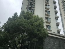 圣骊澳门苑1室2厅南