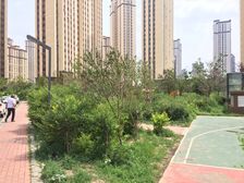 哈西 群力交汇 中间楼层 两室一厅 有证没睡