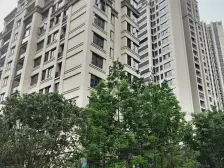 龙湖品质洋房东南朝向看网红公园