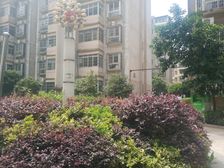 精装电梯房二室二厅一卫可拎包入住