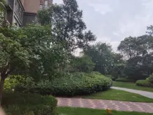 满五唯一,精装修,看房方便,南北通透。