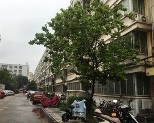 三环内多层住宅总价低单价低文绿小有绿化