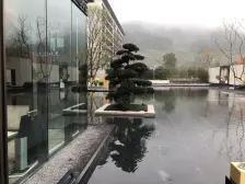 碧桂园保利品质、环境优美,出行方便,视野开阔,
