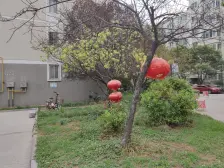 诚售出售 聚源路大4房 看房方便