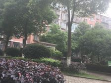 长丰星城3室1厅南北