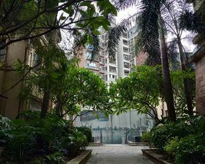 南向采光好中层装修保养新格局方正