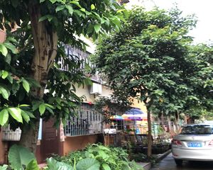 深华花园3室1厅东南