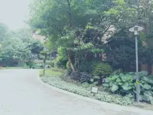 南坪海棠溪轻轨站旁一室一厅,诚心卖,诚心卖