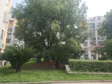 银河城水悦湾二期两室两厅。出门地铁口九颂荟商场