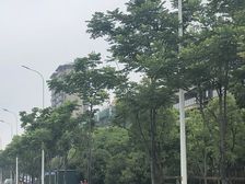 国城璟府洋房 中间楼层 位置好 房东诚心出售!