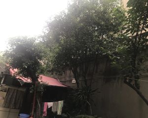 桂花巷56号4室2厅东南