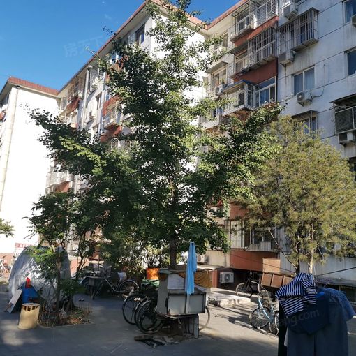 角门9号院2室1厅1卫南北朝向5300.00元/月出租
