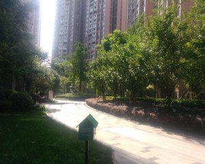 瑞升橡树林华府 3室2厅 西北