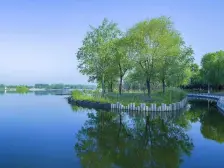 洋房大五室,好楼层,采光好,镇上配套全,鹭鸣湖公园