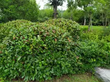 他她公馆 产证45.73平 精装修 通透2房