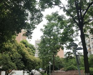 东二环地铁口,位置安静,中间楼层,户型方正