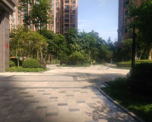 瑞升橡树林华府2室2厅东南