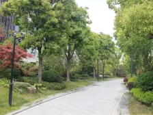 大虹桥 2020年 | 200万+定制装修 带室内电梯 联排别墅