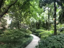 轻轨旁精装大一房 小区环境好交通便利