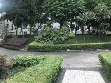 业主诚心出售大渡口步行街正规2房 近轻轨 靠步行街