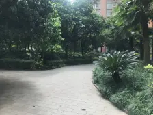 锦天康都小区 3室2厅 东南