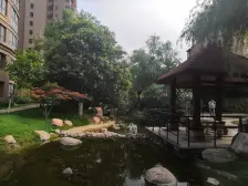 医学院 鑫苑景园 园林式小区 经典三房