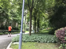 海宇香山翠谷 1室0厅 南