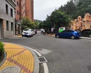 泊林映山1室1厅南