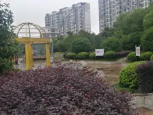 江桥·嘉城雅颂湾·2室·2厅