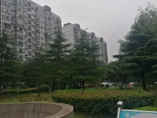 江桥·嘉城雅颂湾·2室·2厅