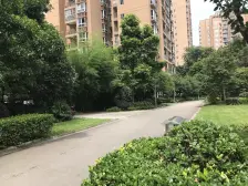 龙湖天街就在家门口,出门可到公园
