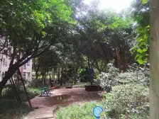 南桥寺 元合悠哉悠宅三房120万