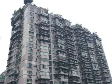 鲤鱼池轻轨站旁 万丰花园带露台