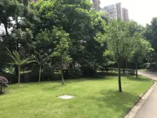 龙湖天街旁精装三房,拎包入住,近轻轨,蔡家森林公园