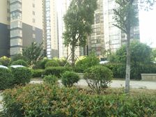 惠泽园90.8平方三室精装修拎包入住证暖齐全