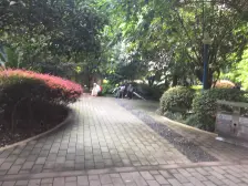 南坪 天信双骄一房58万