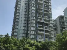 环线十号线双轻轨交汇 麦德龙旁边 正规大两房