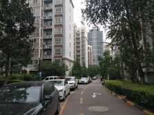 中建·嘉天下3室2厅东北