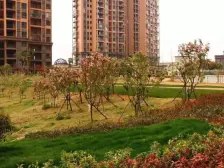 地铁口 湖景大三房边户 房东挥泪卖满五唯一