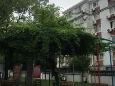 南苑九村 2室1厅 南