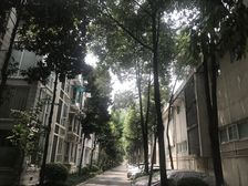 七彩花都A区3室2厅东南西南东北
