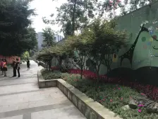 杨家坪 动物轻轨站旁 电梯房 价格可谈