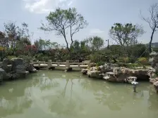 桃李春风花园 5室1厅 南