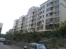 房主自己精装,业主诚意出售,小区绿化好,停车方便