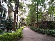 南坪 洋河南滨花园二房61万