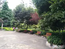 成熟小区 近轻轨公交站 拎包入住 电梯房