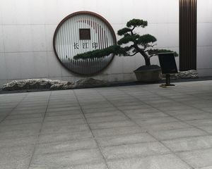 长江印3室2厅南