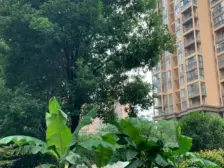 地铁口两房楼层好视野开阔,采光充足配套齐全交通便利